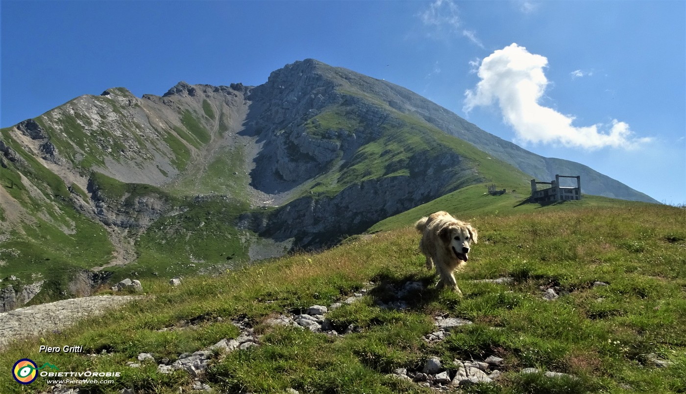 21 Al Piancansaccio d'Arera con vista in Val d'Arera.JPG